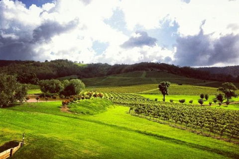 Ivanhoe Wines: Trip Advisor Wine Masterclass With Cheese Plate - Accommodation Gold Coast 3