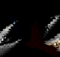 Jenolan Caves Extended Temple of Baal Cave Tour - 1 Gold Coast