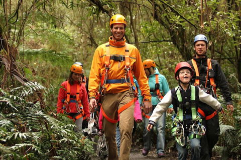 Illawarra Fly Treetop Adventures Admission Including Zipline Tour - Accommodation Gold Coast 1