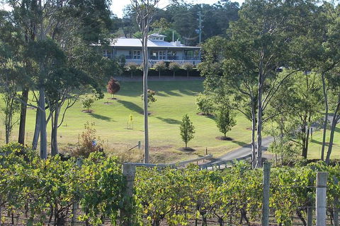 Tulloch Wines- Tasting Of 6 Pokolbin Dry Red Shiraz Vintages With Charcuterie - Accommodation Gold Coast 6