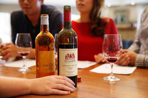 Tulloch Wines- Tasting Of 6 Pokolbin Dry Red Shiraz Vintages With Charcuterie - Accommodation Gold Coast 3