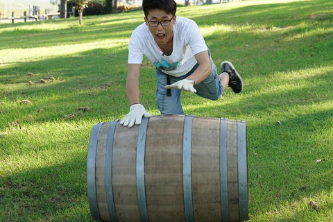 Hunter Valley Wine Barrel Rolling - Accommodation Gold Coast 2