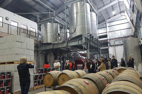 Hunter Valley Small Group Wine, Gin, Cheese & Chocolate Tour - 1 Gold Coast 6