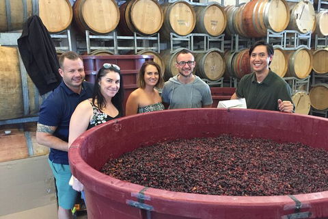 Hunter Valley Small Group Wine, Gin, Cheese & Chocolate Tour - 1 Gold Coast 0