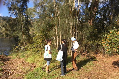 Fishermans Paradise Eco-walk - Accommodation Gold Coast 1