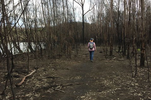 Fishermans Paradise Eco-walk - Accommodation Gold Coast 5