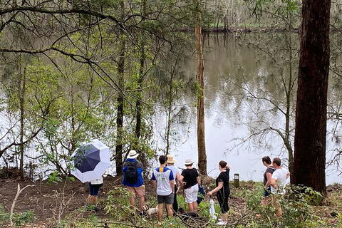 Fishermans Paradise Eco-walk - Accommodation Gold Coast 2