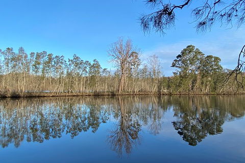 Fishermans Paradise Eco-walk - Accommodation Gold Coast 4