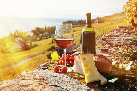 Six Hour - Plan Your Own Wine And Cheese Tour Hunter Valley - Accommodation Gold Coast 0