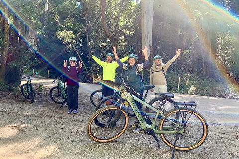 Guided E Bike Tour - Unicorn Falls & National Park - Accommodation Gold Coast 3