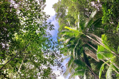 Guided E Bike Tour - Unicorn Falls & National Park - Accommodation Gold Coast 5