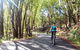 Guided E Bike Tour - Unicorn Falls & National Park - thumb 16