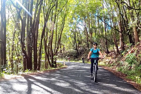 Guided E Bike Tour - Unicorn Falls & National Park - Accommodation Gold Coast 16
