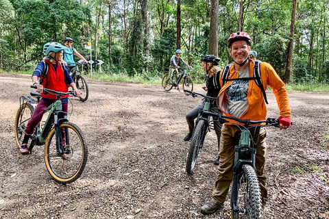 Guided E Bike Tour - Unicorn Falls & National Park - Accommodation Gold Coast 18