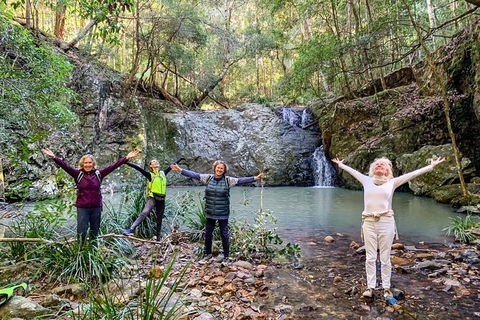 Guided E Bike Tour - Unicorn Falls & National Park - Accommodation Gold Coast 8