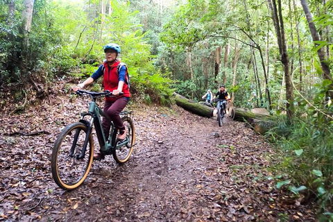 Guided E Bike Tour - Unicorn Falls & National Park - Accommodation Gold Coast 9