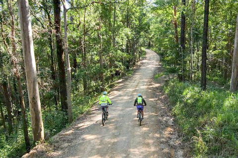 Guided E Bike Tour - Unicorn Falls & National Park - Accommodation Gold Coast 7