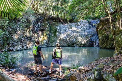 Guided E Bike Tour - Unicorn Falls & National Park - Accommodation Gold Coast 2