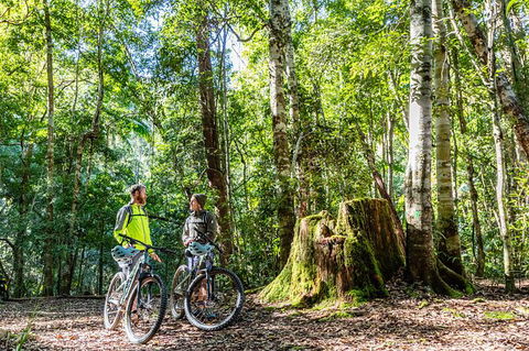 Guided E Bike Tour - Unicorn Falls & National Park - Accommodation Gold Coast 14