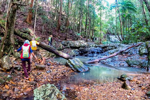 Guided E Bike Tour - Unicorn Falls & National Park - Accommodation Gold Coast 17