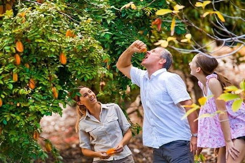 Full-Day Guided Tour Byron Bay With Pickup - 1 Gold Coast 1