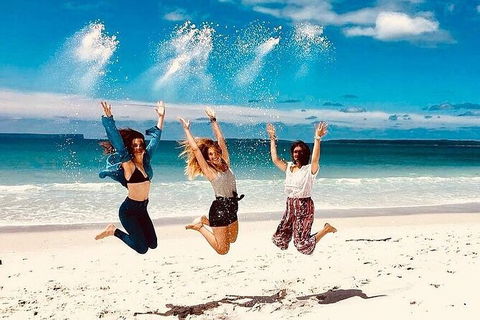 Jervis Bay One Day Tour - Accommodation Gold Coast 0