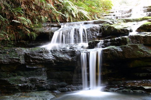 Private 10-hour Tour To Blue Mountains From Sydney - Hotel Pick Up & Drop Off - Accommodation Gold Coast 6
