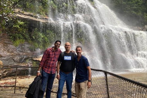 Blue Mountains Highlights & Wildlife Park - Accommodation Gold Coast 4
