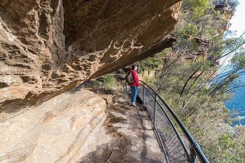 Blue Mountains Highlights & Wildlife Park - Accommodation Gold Coast 0