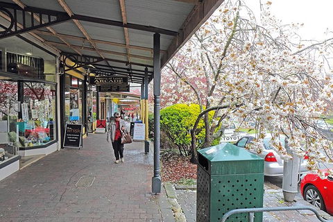 Blue Mountains Highlights & Wildlife Park - Accommodation Gold Coast 2