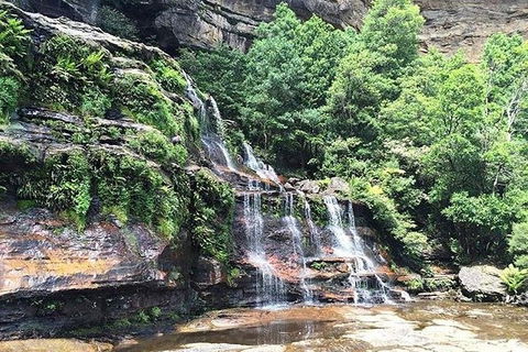 Blue Mountains Highlights & Wildlife Park - Accommodation Gold Coast 8