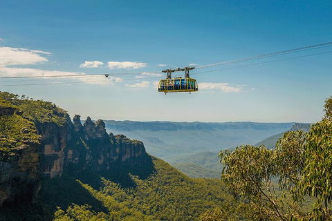 Blue Mountains Highlights, Wildlife Park And Scenic World Full Day Private Tour - Accommodation Gold Coast 0