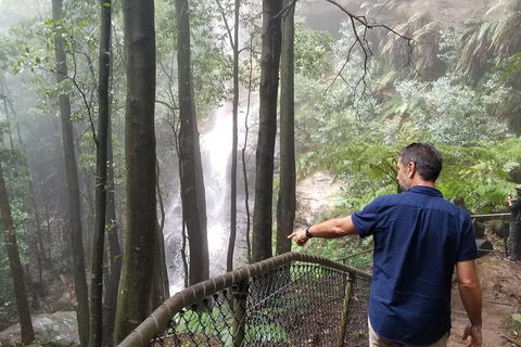 Blue Mountains Highlights, Wildlife Park And Scenic World Full Day Private Tour - Accommodation Gold Coast 6