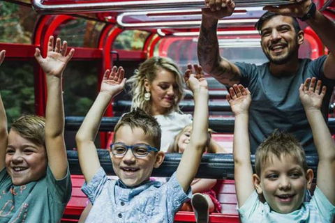 Blue Mountains Highlights, Wildlife Park And Scenic World Full Day Private Tour - Accommodation Gold Coast 5