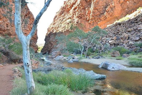 Alice Springs, Uluru Ayers Rock & Kings Canyon 8 Days Touring Package - Accommodation Gold Coast 2
