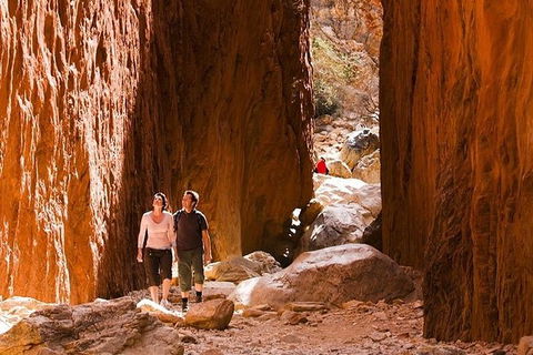 Alice Springs, Uluru Ayers Rock & Kings Canyon 8 Days Touring Package - Accommodation Gold Coast 5