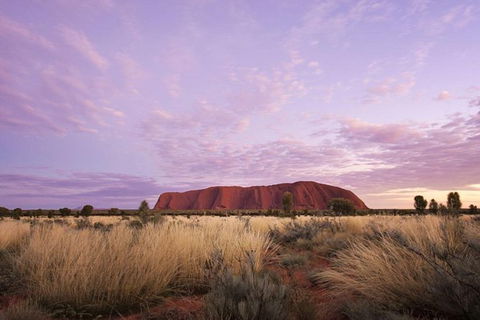 Explore Uluru: 7 Hours Guide Tour At Sunrise With Light Breakfast - Accommodation Gold Coast 4