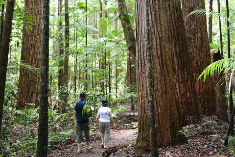 All-Inclusive Fraser Island Day Tour - 1 Gold Coast 6