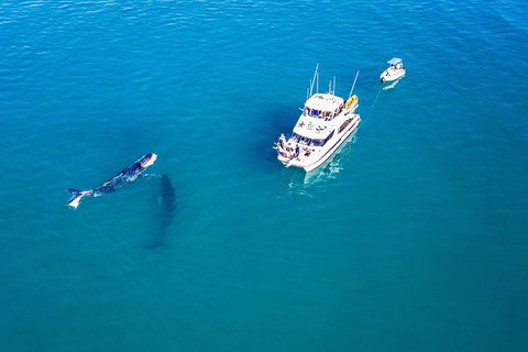 Remote Fraser Island Experience - Accommodation Gold Coast 11