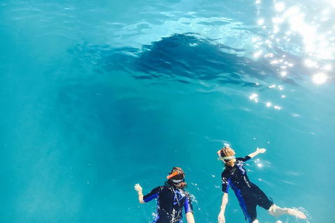 Remote Fraser Island Experience - Accommodation Gold Coast 10