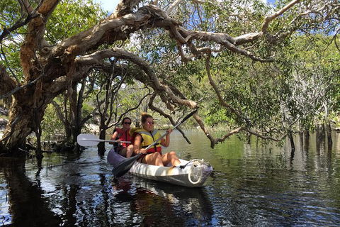 Remote Fraser Island Experience - Accommodation Gold Coast 7