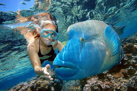 Cairns 2-Day Combo: Great Barrier Reef Cruise And Kuranda - Accommodation Gold Coast 0