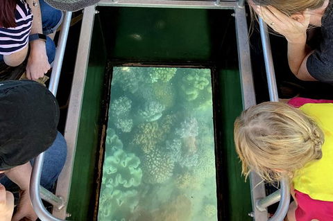 Airlie Beach Glass Bottom Boat Tour - Accommodation Gold Coast 10