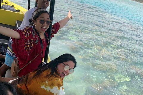Airlie Beach Glass Bottom Boat Tour - Accommodation Gold Coast 6