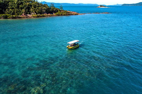 Airlie Beach Glass Bottom Boat Tour - Accommodation Gold Coast 8