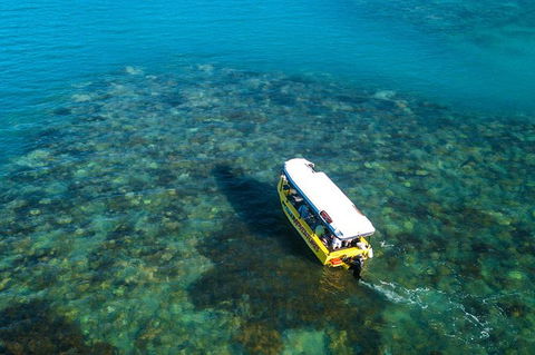 Airlie Beach Glass Bottom Boat Tour - Accommodation Gold Coast 9