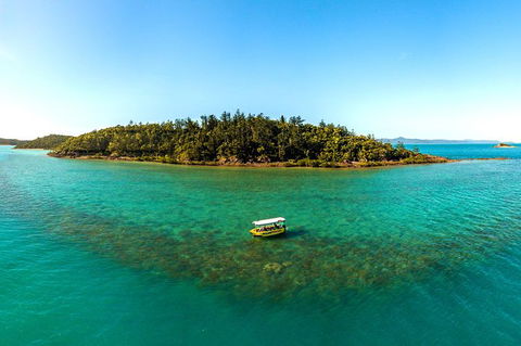 Airlie Beach Glass Bottom Boat Tour - Accommodation Gold Coast 0