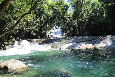 Double Pack-Ancient Rainforest And Waterfalls! - Accommodation Gold Coast 5