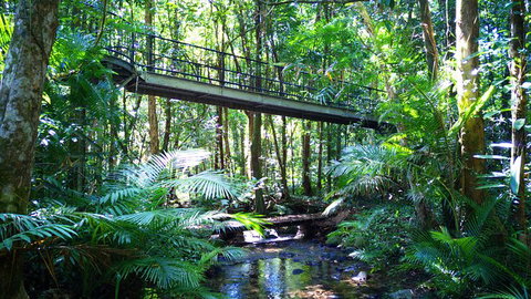 Double Pack-Ancient Rainforest And Waterfalls! - Accommodation Gold Coast 3