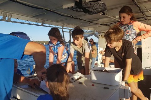 Gold Coast Half-Day Fishing Charter - Accommodation Gold Coast 2